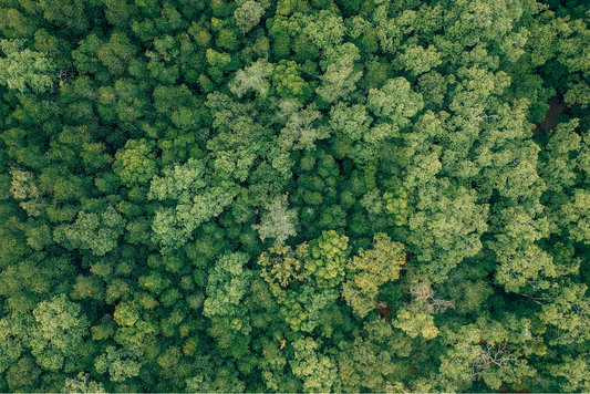 The Truth About Greenwashing in Skincare: A Call for Ethical Beauty