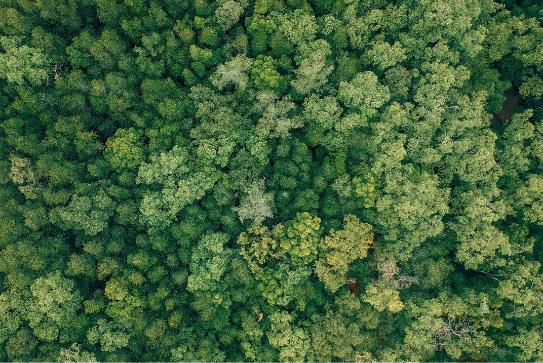 The Truth About Greenwashing in Skincare: A Call for Ethical Beauty