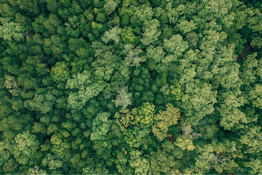 The Truth About Greenwashing in Skincare: A Call for Ethical Beauty