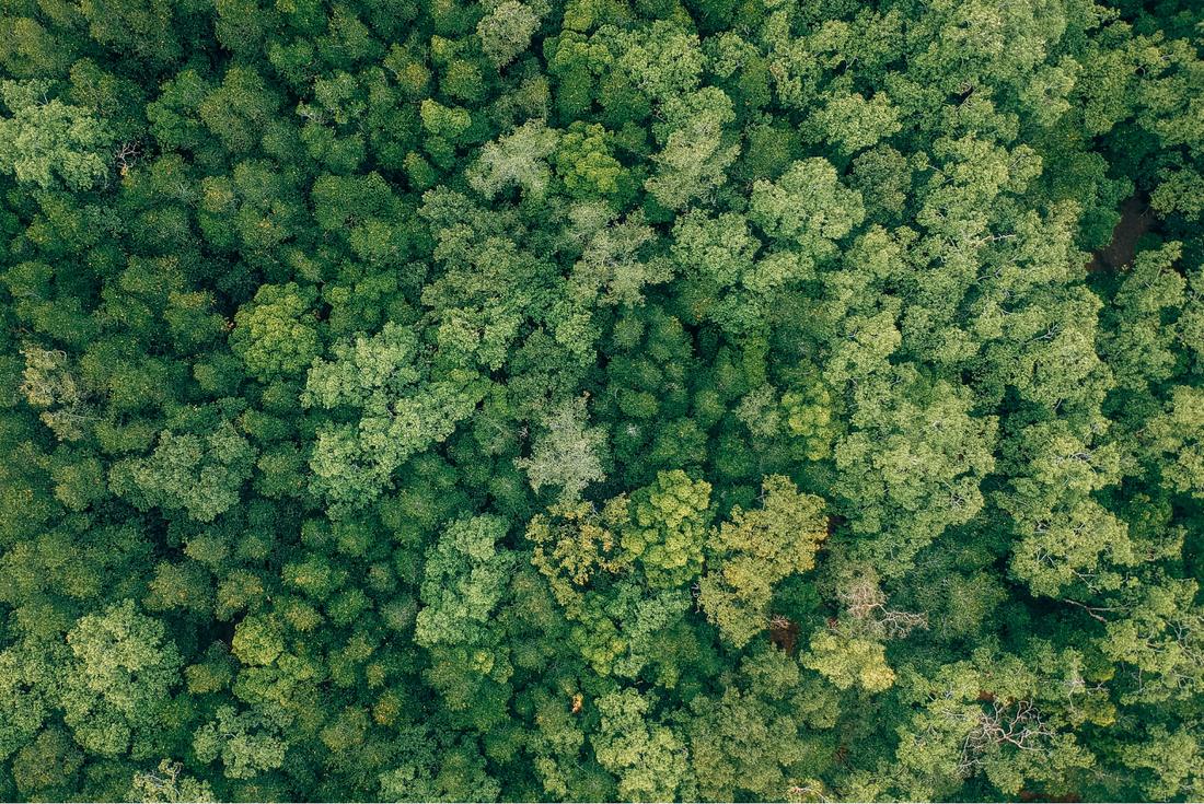 The Truth About Greenwashing in Skincare: A Call for Ethical Beauty