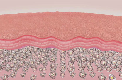 Video representing how moisture goes into the skin and plumps skin cells to create smooth skin texture.