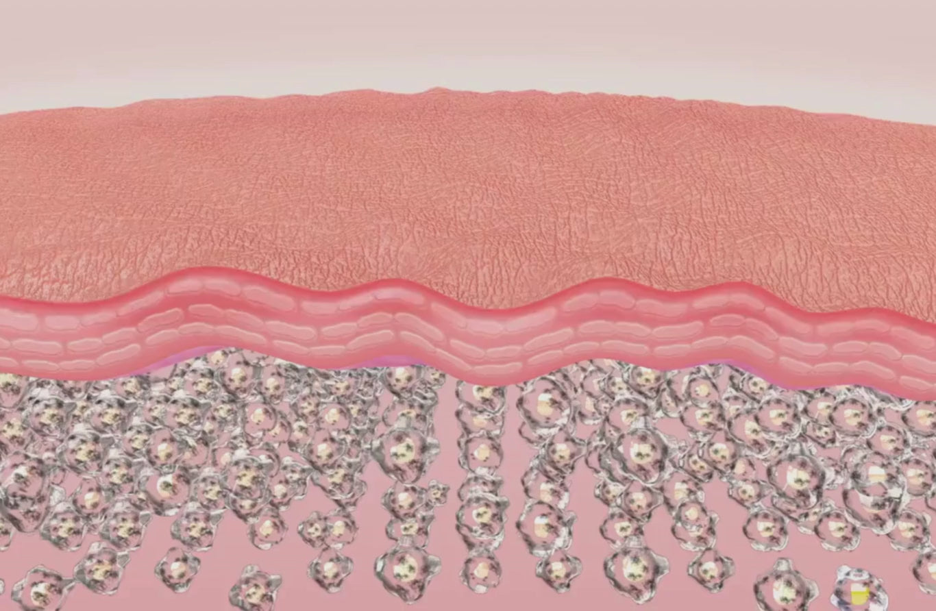 Video representing how moisture goes into the skin and plumps skin cells to create smooth skin texture.